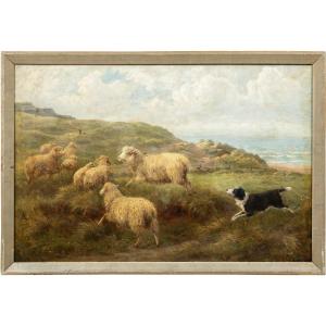 Charles H. Branscombe (British, 1858 - 1924) - Pecore al pascolo e cane Border Collie.