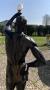 1564118-alb-68483daed11ff.jpg