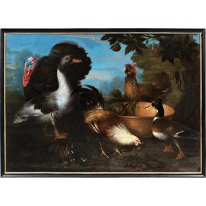 Maestro fiammingo (XVII sec.) - Natura viva con tacchino, anatre, gallo e coniglio.