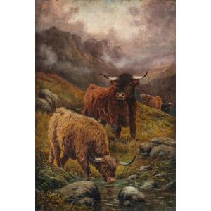 R. Watson (Britannico, fine XIX sec.) - Mandria di Highlanders al pascolo.