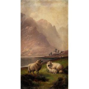 Henry Robinson Hall (York 1859 - Barrow-in-Furness 1927) - Famiglia di ovini nelle Highlands.