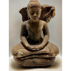 Buddha Mucindila