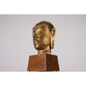 Large Stucco Buddha Head, Ayutthaya Kingdom