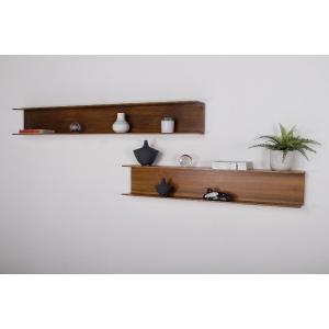 Two Walter Wirz Shelves For Wilhelm Renz