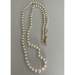 5280- Cultured Pearl Necklace With Yellow Gold Clasp