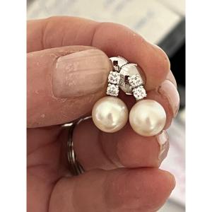 6418- White Gold Akoya Pearl And Diamond Earrings