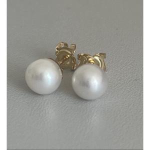 6481- Yellow Gold Pearl Stud Earrings 6 Mm