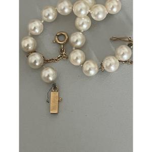 6381- Akoya Pearl Choker Necklace Yellow Gold Clasp