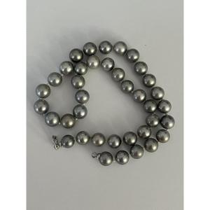 6523- Tahitian Pearl Necklace With White Gold Clasp
