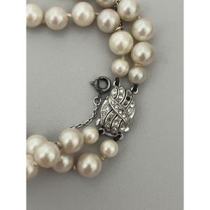 6579- 2-row Pearl Necklace With Metal Clasp