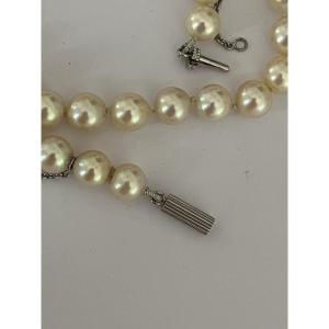 6697- Akoya Pearl Choker Necklace With White Gold Clasp