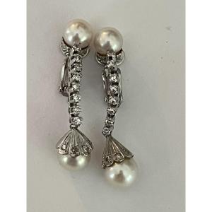 6656- White Gold Akoya Pearl And Diamond Dangle Earrings