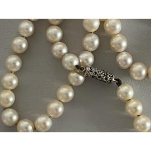 7329 - Akoya Pearl Necklace With White Gold Clasp