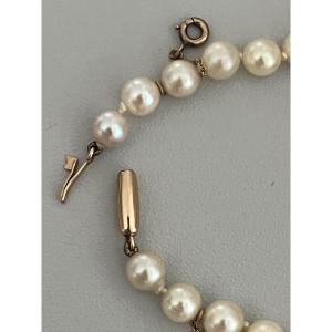 7328 - Akoya Pearl Necklace. Yellow Gold Clasp