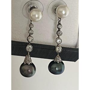 7415 - Earrings Akoya Pearls Diamonds