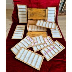 Scientific Box Of Histological Thin Sections – Early 20th Century – Curiosities Naturalia 
