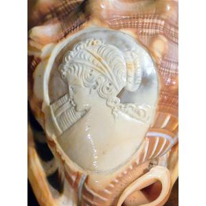 Cameo On A Shell - Venetian Work - Marine Curiosity