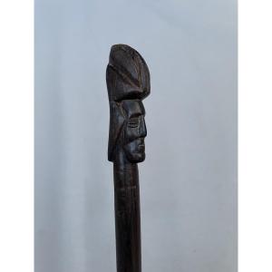 Walking Stick Made Of Exotic Wood, Anthropomorphic Handle 