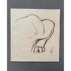 Ferdinand Oger, Feline Paw