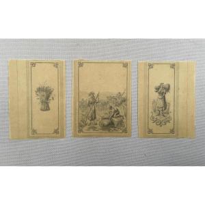 Decor Project On The Theme Of The Harvest, Three Drawings On Tracing Paper.