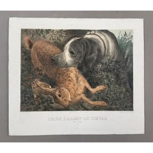 Pointing Dog And Hare, Lithograph