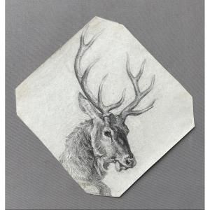 Deer, Black Stone Drawing