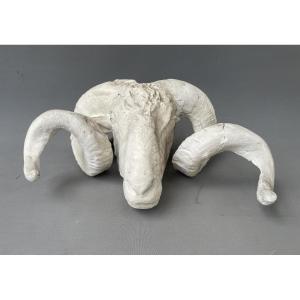 Plaster Ram Head