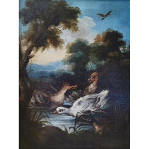 Angelo Maria Crivelli 1662-1730 Attr. To, Green Collar Swan Ducks In A Forest Landscape