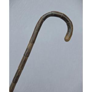 Antique Cane In Palm Wood With Bamboo Finish