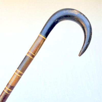 Antique Victorian Cane Entirely In Horn, 19th Century