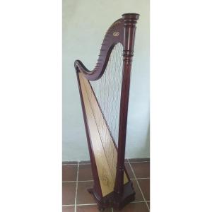 Salvi Ana Harp 