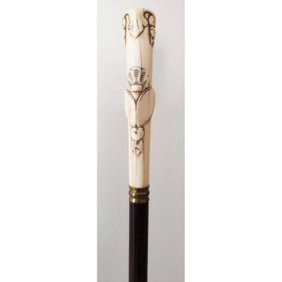 Lady's Cane