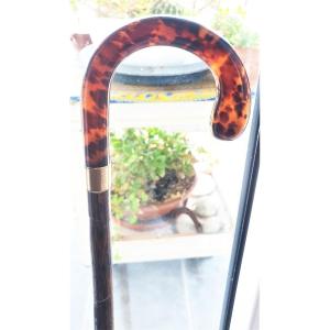 Cane With Curved Handle In Tortoiseshell