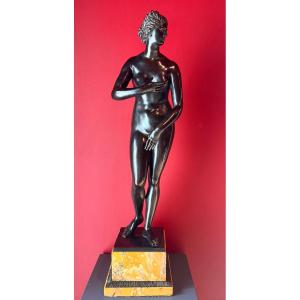 Patinated Bronze Depicting Venus - 19th Century