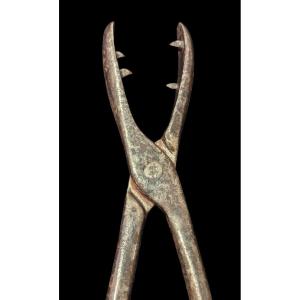 Object Of Torture Extremely Rare Tongue Puller Torture Clamp 17th Century Question