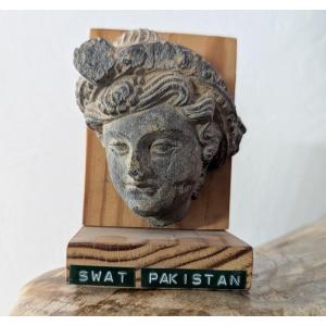 Sculpted Schist Head - Gandhara - 1st - 3rd Century Ad - Archaeology