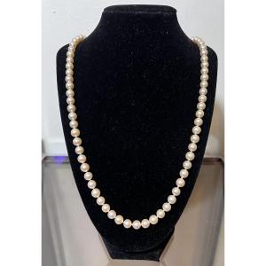 Long Necklace With 83 Cultured Pearls And An 18k Gold Clasp, 69 Cm