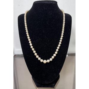 Necklace With 81 Graduated Cultured Pearls, 18k Gold Clasp, 52 Cm