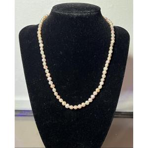 Necklace With 77 Cultured Pearls, 45 Cm Length, 18k Gold Clasp