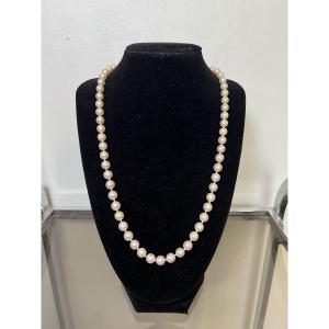 Choker Necklace With 63 Cultured Pearls, 18k Gold Clasp And Sapphire, 54.5 Cm