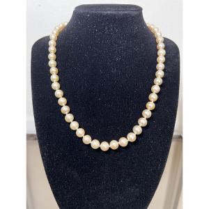Necklace Choker 51 Akoya Cultured Pearls Clasp 18k Gold 44.5 Cm