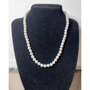 Choker Necklace With 64 White Cultured Pearls, 18k Gold Clasp, 42 Cm