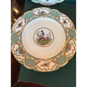 12 Large 19th-century Porcelain Plates In The Style Of Buffon's Bird Decorations, Made By Sèvres