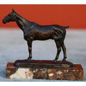 Gaston D Illiers 1876-1932 "hummingbird" Bronze With Brown Patina Signed And Titled.