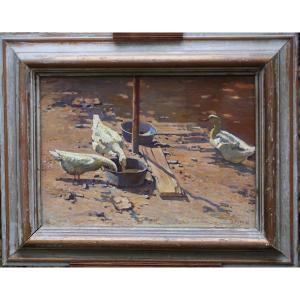 French School, Early 20th Century, Ducks In Farmyard, Oil On Cardboard.