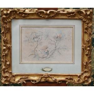 Jean Pillement 1728-1808 Study Of Flowers, Pair Of Drawings Enhanced With Watercolor Signed