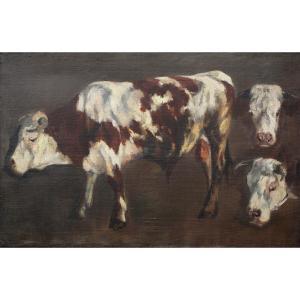 French School, Late 19th Century, Study Of Bulls, Oil On Canvas.
