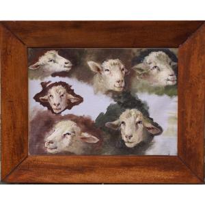 Barbizon School, Late 19th Century, Study Of Sheep Heads.
