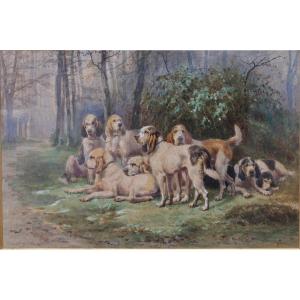 Jules Bertrand Gelibert 1834-1916, Pack Of Dogs At Rest, Watercolor Gouache.