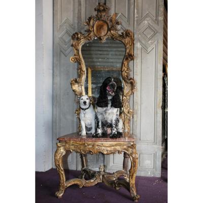 Chair Of Transformed Aparat XVIII